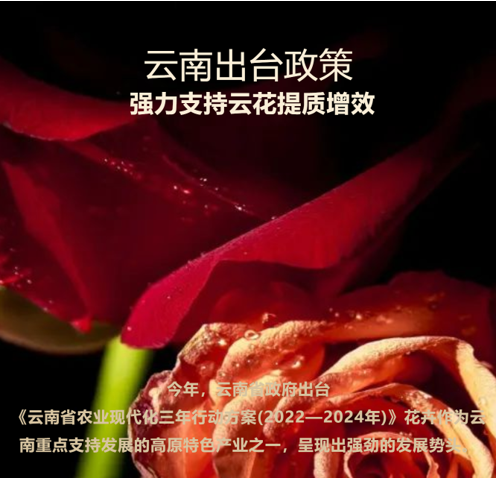 &#20061;&#28216;&#23089;&#20048;&#40;&#78;&#105;&#110;&#101;&#71;&#97;&#109;&#101;&#83;&#112;&#111;&#114;&#116;&#115;&#41;&#23448;&#26041;&#32593;&#31449;&#45;&#20061;&#28216;&#24341;&#39046;&#23089;&#20048;&#28526;&#27969;