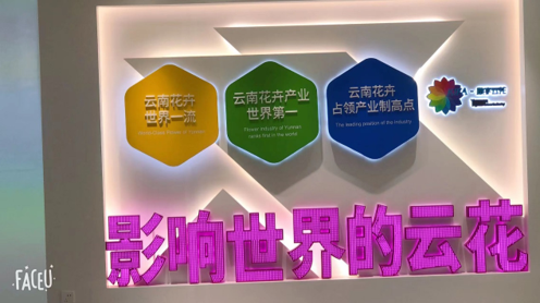 &#20061;&#28216;&#23089;&#20048;&#40;&#78;&#105;&#110;&#101;&#71;&#97;&#109;&#101;&#83;&#112;&#111;&#114;&#116;&#115;&#41;&#23448;&#26041;&#32593;&#31449;&#45;&#20061;&#28216;&#24341;&#39046;&#23089;&#20048;&#28526;&#27969;